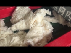 800F modello 6mm schermo buco, macchina da taglio di cotone, macchina da taglio frantumatore